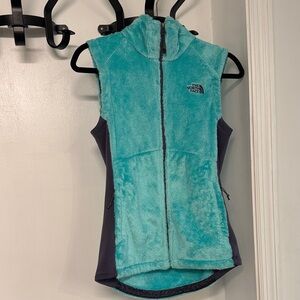 The North Face Aqua and Charcoal Fleece Vest S